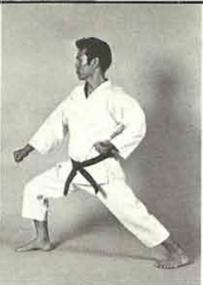 Zenkutsu-Dachi aus Karate-Do Kyohan