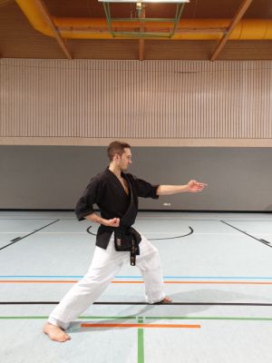 Ippon-Nukite side.jpg