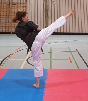 Mawashi-Geri-Jodan side.png